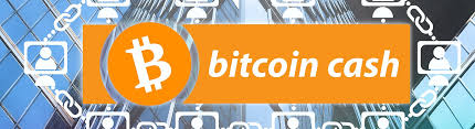 Claim your free bitcoin cash now! How To Claim Bitcoin Cash Tutorials Ihodl Com