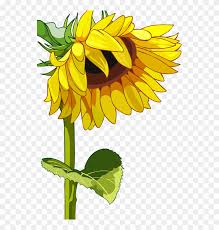 Free Free 286 Sunflower In Mason Jar Svg SVG PNG EPS DXF File