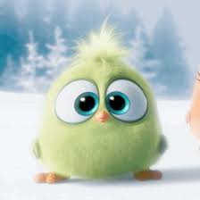 I Got Eliot Which Hatchling From The Angry Birds Movie Are You Cute Cartoon Wallpapers Cute Birds Cute Love Gif