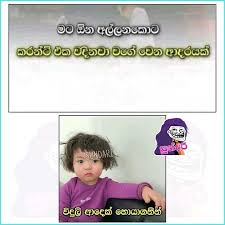 Sinhala jokes sundari fb post. à·„à¶¸ à¶¶à¶šà¶»à¶´ à¶­ à¶§ à¶§ à¶¯ à¶š à·€ à¶ºà¶¯à¶¸ à¶šà¶»à¶½ à¶…à·€ à¶» à¶¯ à¶š à¶½ à¶± à¶šà¶± à¶šà¶± à¶± à¶­ à¶¶ à¶¶ à¶¯à¶± à·ƒà¶½ à¶± à¶­ à¶šà¶»à¶œà¶­ à¶­ à·ƒà¶­ à¶…à¶± à¶­à¶º à¶…à¶± à¶­à¶» à¶¢ à¶½à¶º à¶± 289 à·€à¶± à·ƒà¶­ à¶º Photos Facebook Memes