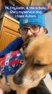 Service Dog at Cubs Game