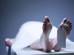 Image result for à¤¹à¥à¤¡à¤«à¥à¤¨ à¤¸à¥ à¤à¤¾à¤¨à¥ à¤¸à¥à¤¨à¤¨à¥
