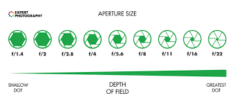 Also, it comes in very handy to visualize how depth of field changes with aperture and subject distance for the selected camera and focal length. What Is Aperture And Why It Matters In Photography