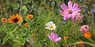 Lily tattoo has the most diverse nature amongst all the flowers. Wildflower Tattoo Meanings Variations And Symbolism
