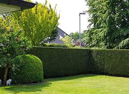 Teiche, zäune, pflaster und gartenanlagen vom experten kai kramer. Gartenbau Schliep Aus Oldenburg Wir Bluhen Fur Sie Auf