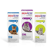 You might even get that employee of the month parking spot. Bravecto Topical Flea Tick Treatment For Cats Petcarerx