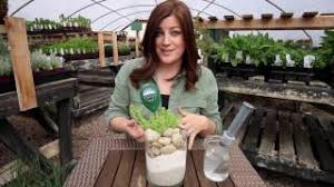 To use plant pots without drainage holes. How To Work With Non Draining Containers Youtube