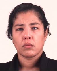 New Member Introduction in Dungeon Craft