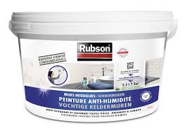 Check spelling or type a new query. Peinture Antihumidite Stop Humidite Mur De Cave Rubson Blanc 2 5 L Leroy Merlin