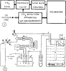 Why co2 is required for animal cell culture. A Regulated Incubator Controlling Co2 Concentration Humidity And Temperature For Use In Animal Cell Culture Semantic Scholar