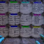 Hazmat Suit Item Organizer Ark Paint The Best Paint Ark