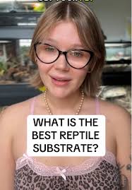 Best Reptile Substrate Recommendations for Healthy Habitats