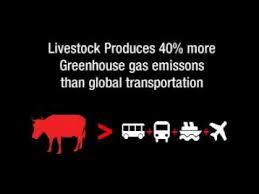 Global Warming Did You Know Vegan Facts How To Become Vegan Vegan Politics
