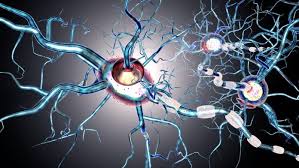 Drugs to treat movement disorders include the following: New Therapeutic Target For Huntington S Disease Treatment Health Europa