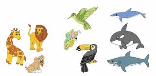 Con nuestros juegos matemáticos para preescolar, el temor hacia las matemáticas son cosa del pasado. Mapa Interactivo Tipos De Animales Biologia Animales Domesticos Animales Acuaticos Animales Terrestres Tipos De Animales Animales Aereos