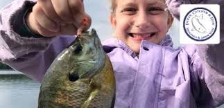 Lake-Link Busienss Directory