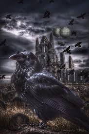 I think i'm going to give the wicked white another chance and see if i'm really all. Steampunk Raven Digital Art By Brenda Wilcox Aka Wildeyed N Wicked