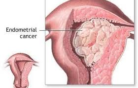 How do i get a copy of the pathology report? Pin On 6789