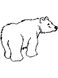 Enjoy free bear coloring pages to color, paint or a crafty educational project for young children and the young at heart. Polar Bear Coloring Pages For Toddlers The Following Is Our Bear Coloring Page Collection Polar Bear Coloring Page Bear Coloring Pages Animal Coloring Pages