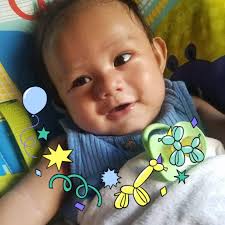 Andromeda roms not booting