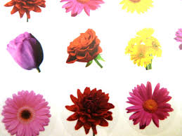 Check out our 2 in round stickers selection for the very best in unique or custom, handmade pieces from our stickers, labels & tags shops. Circular Flower Stickers Colourful Floral Labels For Craft 4 Design Options Ebay