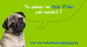 We did not find results for: Controle Technique Jayat Securitest Jayat