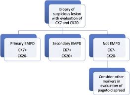 Extramammary Paget S Disease Summary Of Current Knowledge Dermatologic Clinics