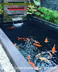 Mendengar suara gemericik air dari kolam bisa membuat suasana rumah menjadi tenang dan menyegarkan. Kolam Ikan Koi Tukang Taman Surabaya Wijayanaturalisgarden 08121751311