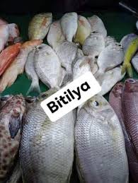 Served at a palembang food stall at food colony foodcourt, atrium senen plaza, central jakarta, indonesia. What Is Katambak Fish In English