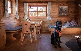 Alpzitt Chalets Burgberg Im Allgau Die Bergfreaks Bergurlaub Mit Hund In 2021 Chalet Allgau Urlaub Mit Hund Burg