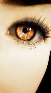 Zyla S Eyes Are One Of Her Most Defining Features With Their Light Amber Coloring And Piercing Stare Gethimback In 2020 Fire Eyes Amber Eyes Eye Photography