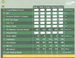 Meat Standards Australia Msa Futurebeef