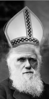 The Significance of Hats in Science and Evolution