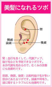 小顔 美肌になれる美容に効果的な耳つぼ ダイエットなら美wise 耳つぼダイエット 健康と美容 ダイエット