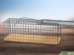 Food sources are among the biggest draws for raccoons, especially garbage bins stored outside. 3 Ways To Keep Raccoons Out Of The Garden Wikihow