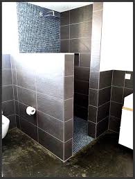 Begehbare Dusche Gemauert Begehbare Dusche Walk In Dusche Dusche Umgestalten