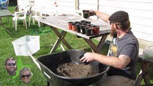 How to clone blueberries from mature plants. Save Money Cloning Blueberries Youtube