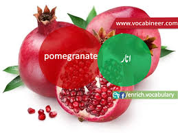 Pin By Hamna Amanat On Rose English Vocabulary Fruits Name With Picture Vocabulary
