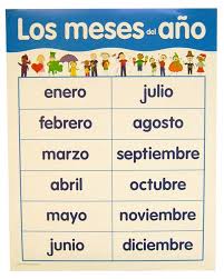 spanish basic skills chart months of the year 020694