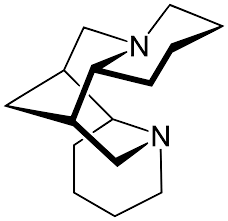 Image result for Pearsonia cajanifolia