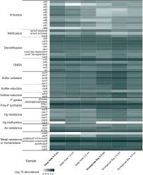 Significant value creation expected through synergies and operational excellence. Microbial Genomes Retrieved From High Arctic Lake Sediments Provision Their Microbes With Genes To Strive In Cold And Oligotrophic Environments Biorxiv
