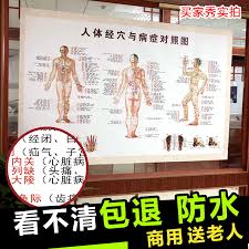 usd 4 19 human meridian acupuncture chart large wall chart