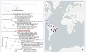 Image result for Amblygonocarpus