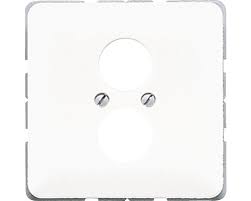 Abdeckung Lautsprecher 1 Fach Jung Cd 562 Weiss Bei Hornbach Kaufen