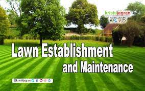 Wiktionary (0.00 / 0 votes) rate this definition: Lawn Establishment And Maintenance