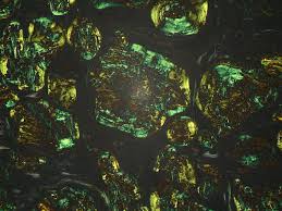 Gelling firm, comparable with 2.0% agar gel. Alkaline Congo Red Staining Technique For Amyloid Principle Procedure And Interpretation Laboratoryinfo Com