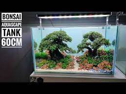 Pakne Kenzho Youtube Bonsai