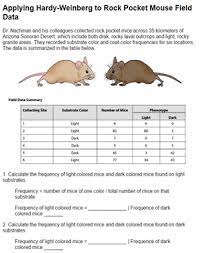 Hardy weinberg pogil answer key the equations you have just developed, p + q = 1 and p2+ 2pq +q2= 1, were first developed by g. Hardy Weinberg And The Pocket Mouse