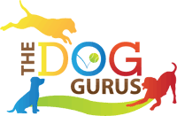 Find the best care for your best friend. Dog City Dallas Tx Dog Day Care Grooming Boarding