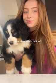 Austin Berner Brother